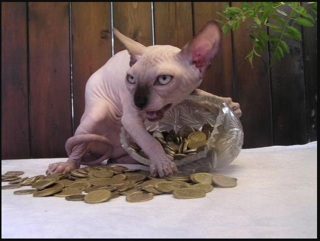 A hairless cat that seems to be holding a crystal bowl with coins in it, and there are coins spilled on the table. It looks like the cat is protecting the hoard of coins.